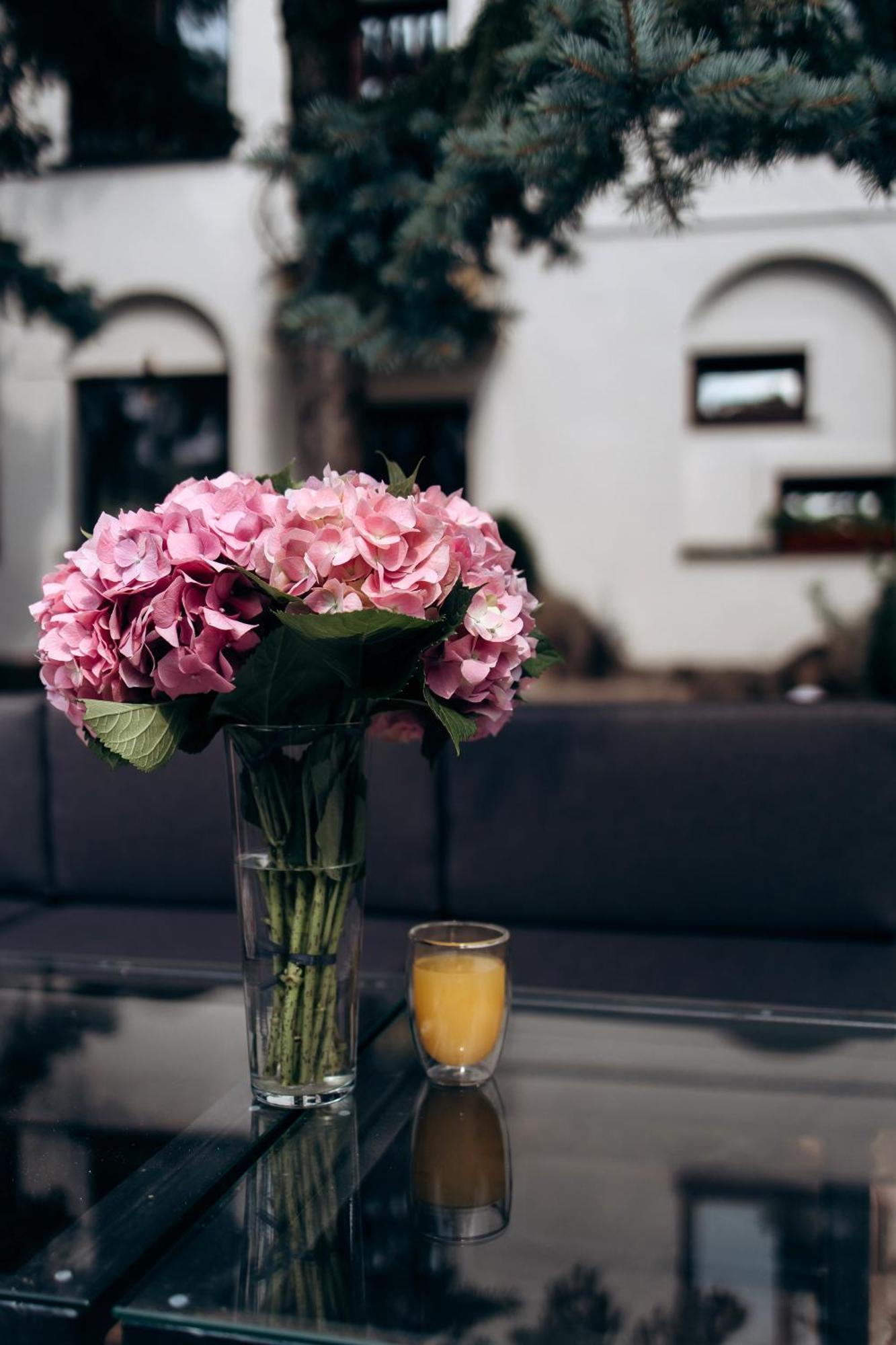Eduard Hotel 우주고로트 외부 사진